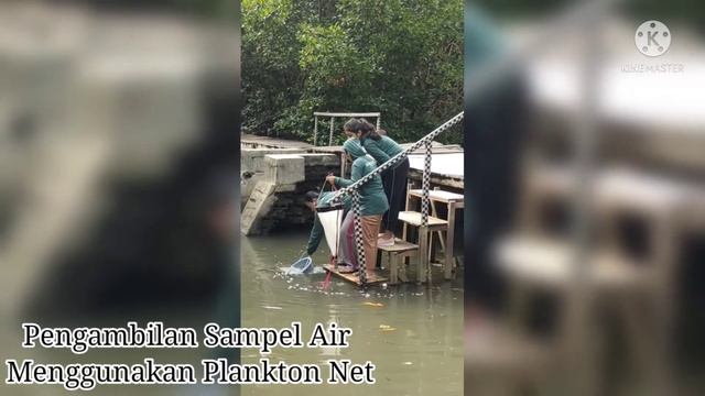 Praktikum Produktivitas Perairan - Kelompok 11 смотреть онлайн