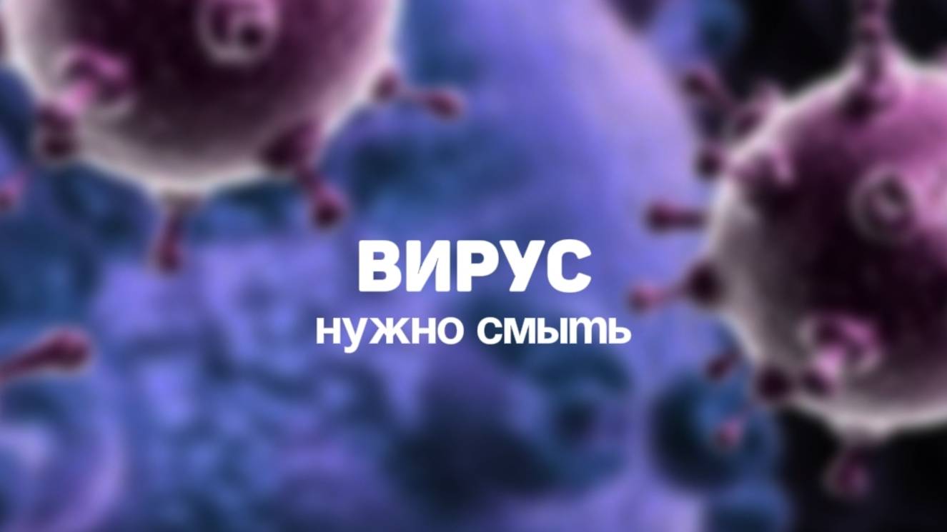 Вирус нужно смыть. Алена Братишко