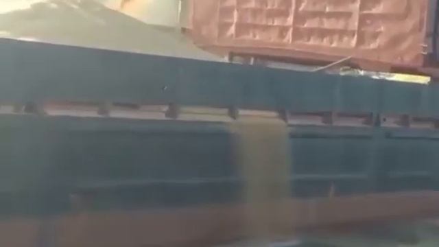 Сброс зерна с перегруженного сухогруза в Дон 31. 08. 2020 смотреть онлайн