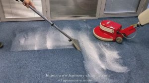 Химчистка ковролина в офисе