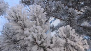 ...В гостях у Снежной Королевы...