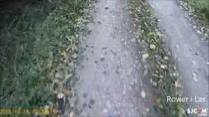 Kenda Kick Back K1109