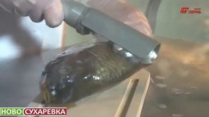 РЫБОЧИСТКА РЧ 30М