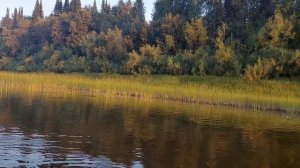 Вечерняя рыбалка с сыновьями, четыре щучки, один окушок.