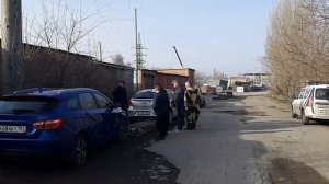 Городской голубинный рынок. Птичий рынок 31.03.24. Николаевские голуби. Bird Market. Pigeon Fair. 鸽子