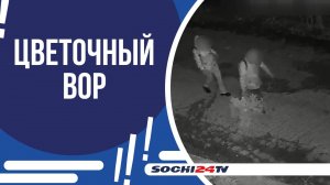 УКРАСИЛ ДВОР ВОРОВАННЫМИ КУСТАРНИКАМИ!