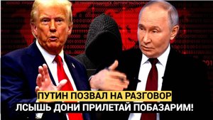 Прилетай Дони! Путин предложил Трампу встретиться и спокойно поговорить по душам