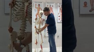 Максим Половинко 2