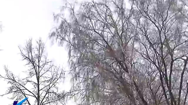 19 11 14 Ноябрьские погодные перемены
