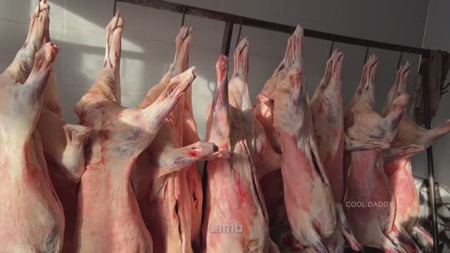 800 кг Ягненка в 7 Tандыре | Тандыр Мясо | Узбекская Кухня смотреть онлайн