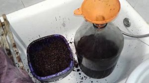 Квартирное виноделие. Мацерация в полиэтиленовом пакете