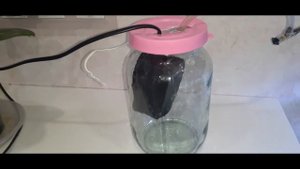 Шум от компрессора для аквариума