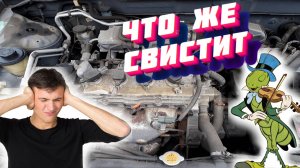 Что свистит под капотом (Выгоняю сверчка из Nissan Almera N16)