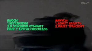 Виды анонимусов