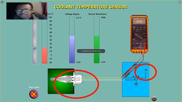 FREE ASE PREP: Throttle Position Sensor and Coolant Sensor смотреть онлайн
