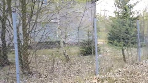 ГСВГ. Веймар Ваймар Weimar. Тоша (Теша) 1964. Школа.