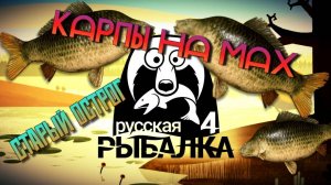 🐟КАРП ЧЕШУЙЧАТЫЙ НА МАХ🎣 СТАРЫЙ ОСТРОГ🔥 РР4🎣