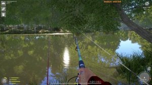 РР4 | Квалификация МАХ Этап 5  | Поймать в проводку трофейную Чехонь или Красноперку