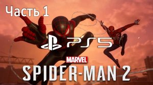 Человек-Паук 2 Прохождение Часть 1 ⧸ Marvel Spider-Man 2 PS5