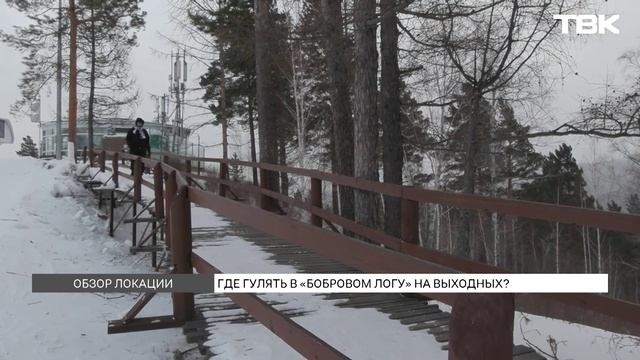 Где погулять в Красноярске: фанпарк «Бобровый лог»