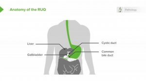 2.03 Biliary Tract Disease