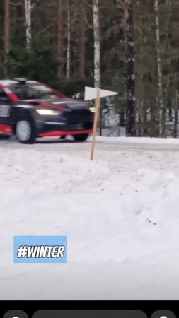 Finnskogsvallsen 2025 #rally #sound #passion #automobile #motorsport #motovlog #winter #skoda