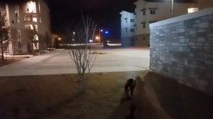 (1090) 🔦 Wurkkos TS11 Beamshots