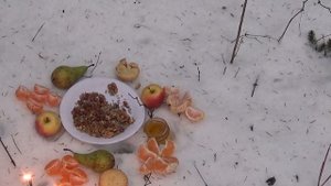 Авторский ритуал Инги Хосроевой. Лесная Сила...для всех.