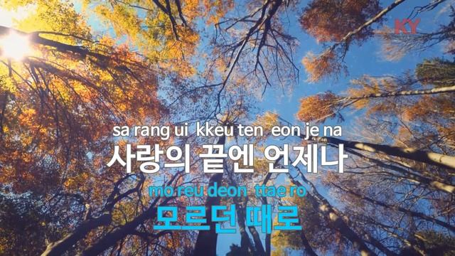 [KY 금영노래방] 왜 날... - 김범룡 (KY.65923) / KY Karaoke смотреть онлайн