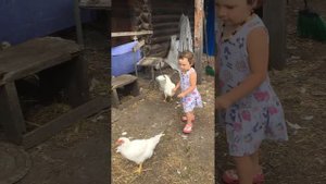 Как поймать утку