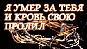 ПВ_4k №442 Я умер за тебя и Кровь Свою пролил