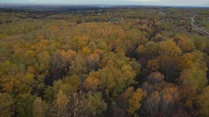 Велегож Заокский район Тульской области 29га