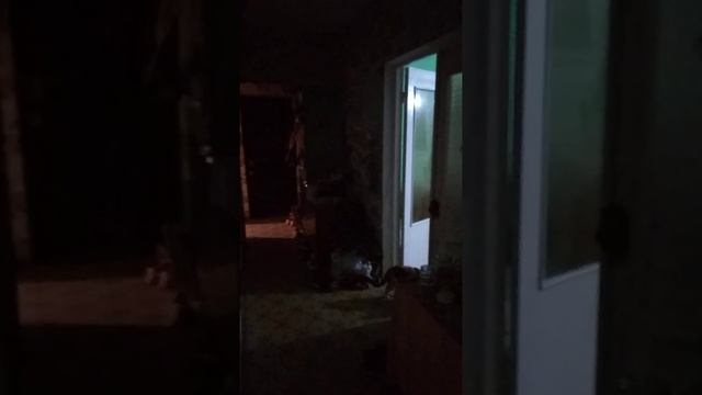 вытек мозг 2 смотреть онлайн