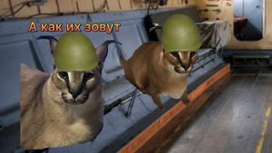 1 сезон 7 серия шлёпы против бингусов