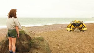 Bumblebee - Coffin Dance Song (COVER)