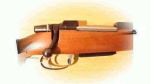 CZ 550 FS .243 Winchester Rifle