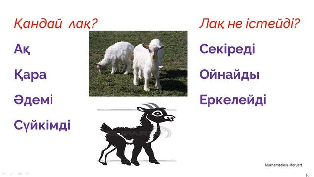 Қазақ тілі. 3-сынып. 5-сабақ. Менің ақ лағым бар смотреть онлайн