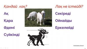 Қазақ тілі. 3-сынып. 5-сабақ. Менің ақ лағым бар