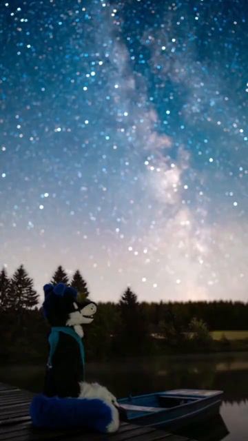 Фурри фотограф #фурри смотреть онлайн