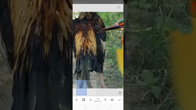 Change Photo background in Snapseed|Snapseed main background kasy change kare