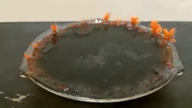 Очень красивые кристаллы прикольный опыт смотреть онлайн