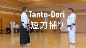 Вадо-рю каратэ /Танто-дори/ (мастер Казутака Оцука)