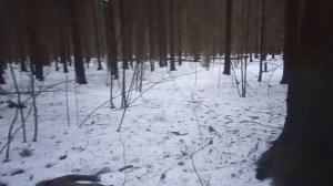 Перенес видео на рутуб