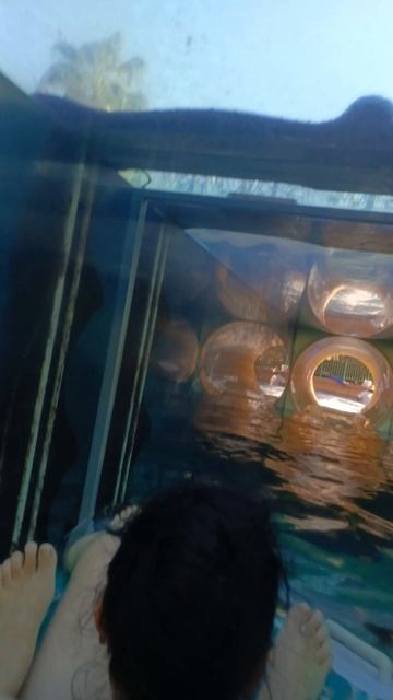 Аквапарк Атлантис Дубай смотреть онлайн