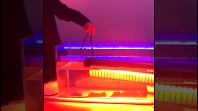 Уличный обогреватель в аквариуме смотреть онлайн