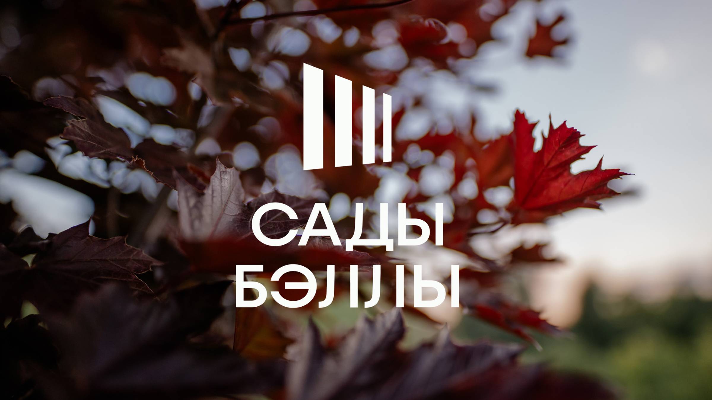Сады Бэллы
