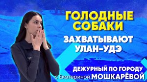 Голодные собаки захватывают Улан-Удэ| ДПГ. Неделя