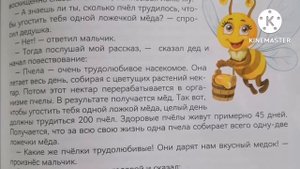 Сколько мёда приносит одна пчела?