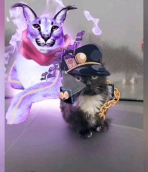 сидим с сашай