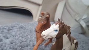 Сладкое яблоко приехало к нам!!!!!